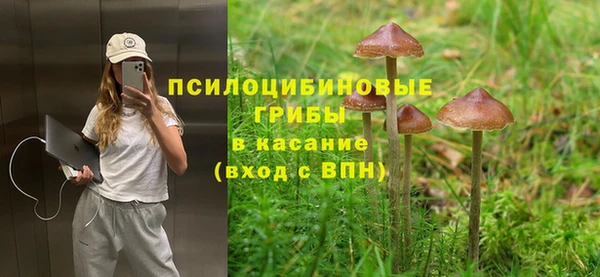 эйфоретик Володарск